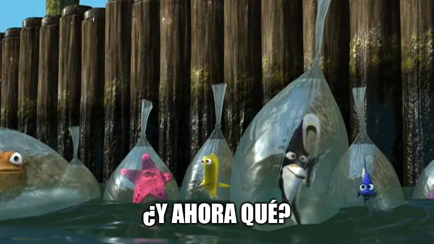 Meme "¿Y ahora qué?" de la película Buscando a Nemo.