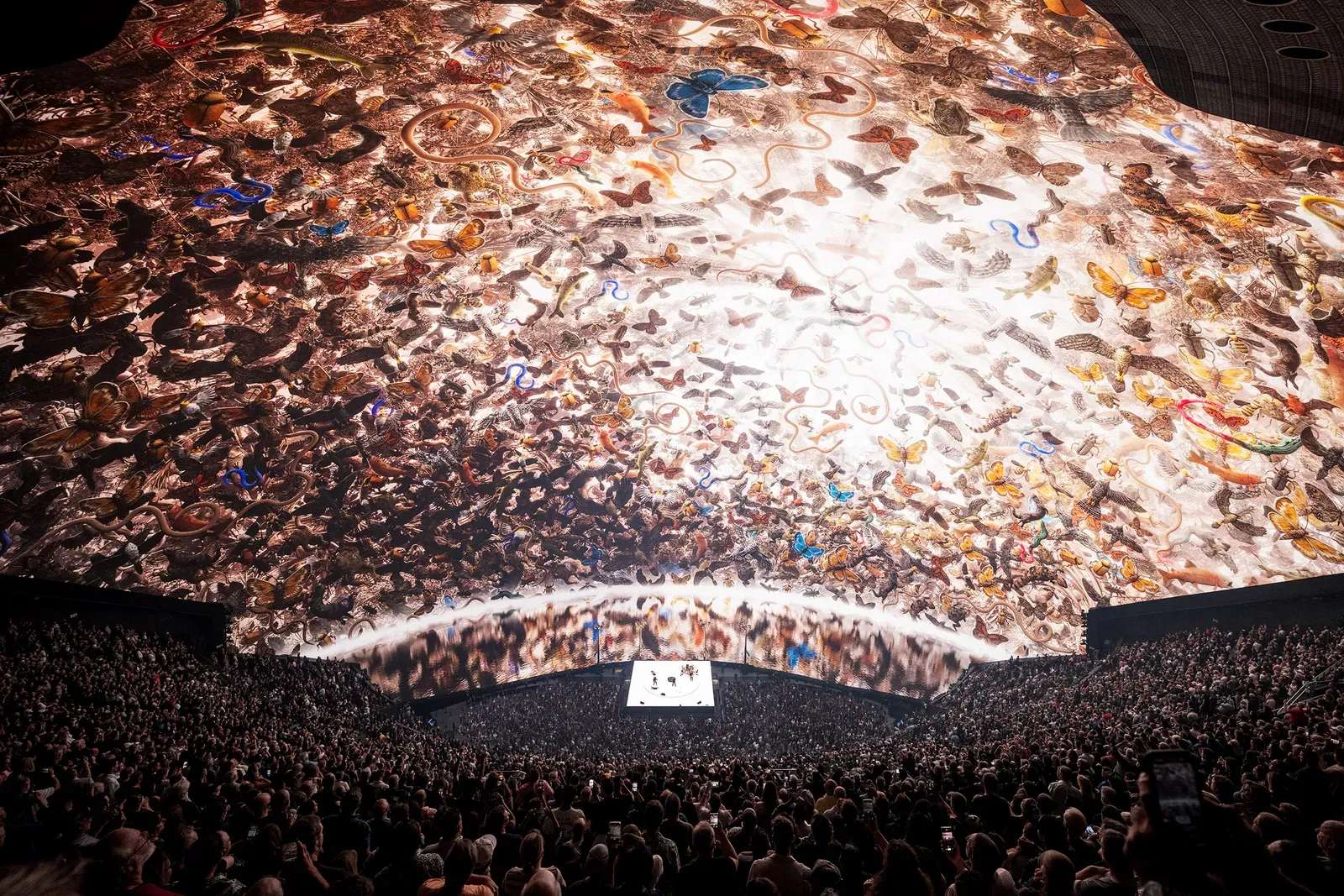 U2 en pleno concierto en Sphere (Philiph Lebowitz, CC BY-SA 4.0).