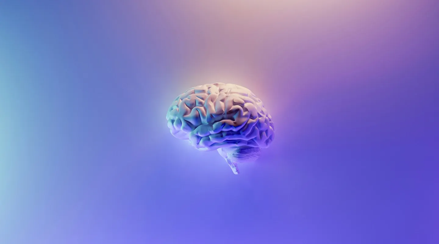 Representación del cerebro humano.